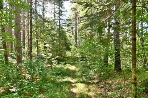 10800 Sunset Trail Ext, Cable, WI 54821 photo 34