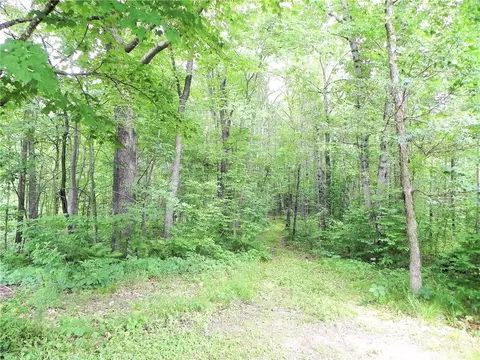 3264 15th St County Rd E, Frederic, WI 54837 photo 14