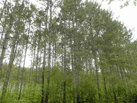3264 15th St County Rd E, Frederic, WI 54837 photo 12