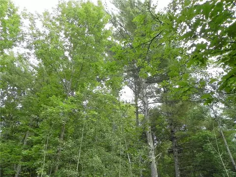 3264 15th St County Rd E, Frederic, WI 54837 photo 22
