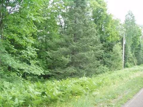 On Morse Road, Glidden, WI 54527 photo 3
