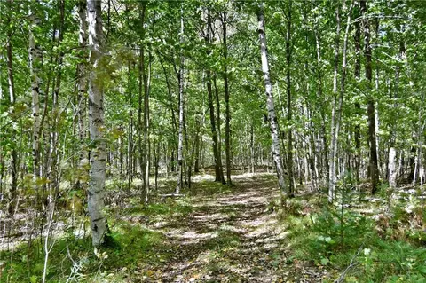 46855 Behan Dr, Cable, WI 54821 photo 37