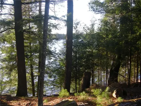 47295 Twin Pines Ln, Cable, WI 54821 photo 3
