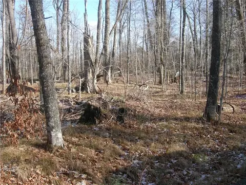 47295 Twin Pines Ln, Cable, WI 54821 photo 5