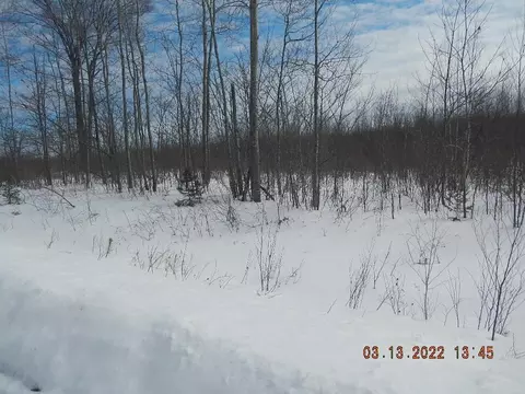 0000 Scout Trl, Ojibwa, WI 54862