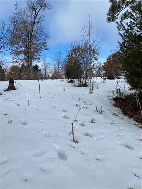 Lot 43 Treasure Island Drive, Danbury, WI 54830