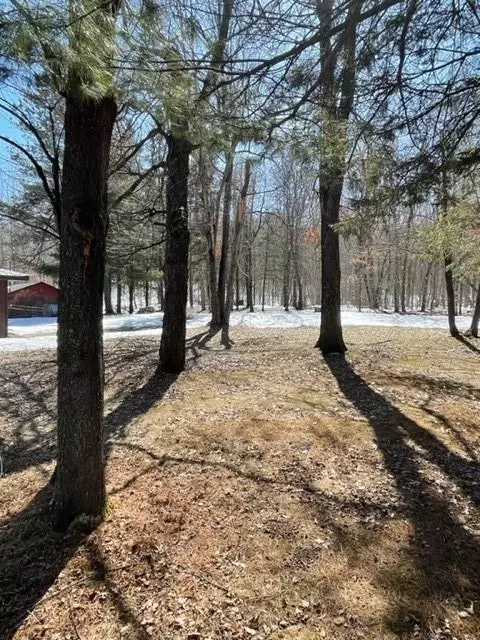 n8335 Fire Lane Road, Springbrook, WI 54875 photo 11