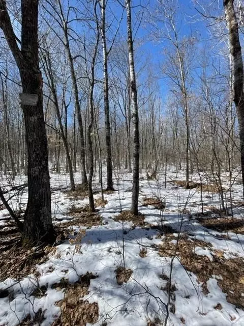 n8335 Fire Lane Road, Springbrook, WI 54875 photo 26