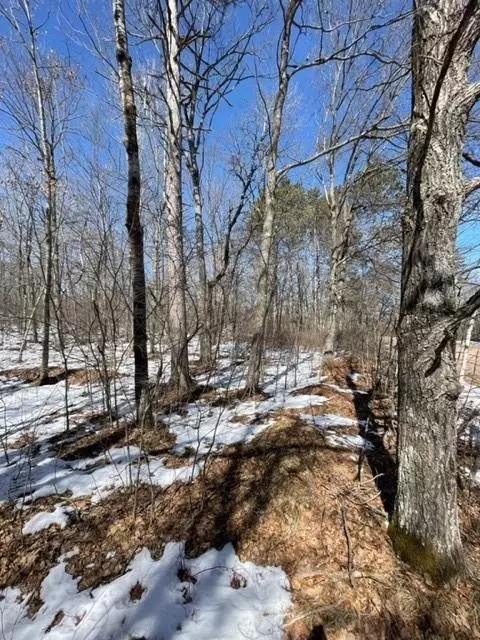 n8335 Fire Lane Road, Springbrook, WI 54875 photo 27