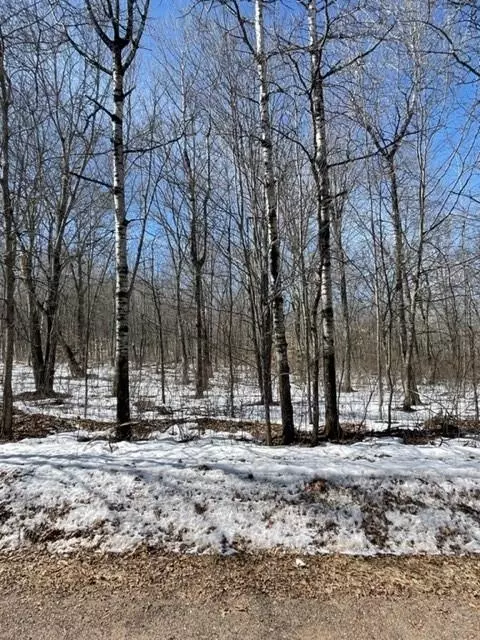 n8335 Fire Lane Road, Springbrook, WI 54875 photo 29