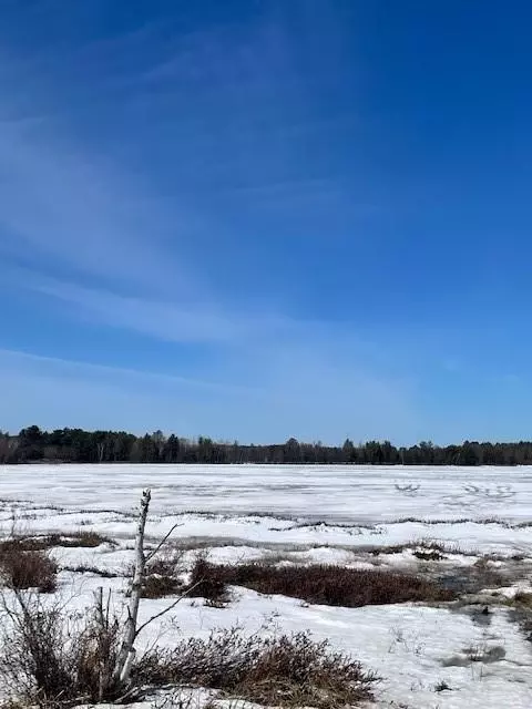 n8335 Fire Lane Road, Springbrook, WI 54875 photo 33