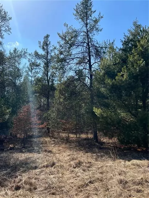 Lot 4 Black Creek Road, Fairchild, WI 54741