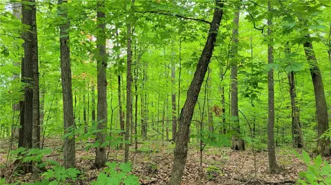 lot45 W Holly Lake Ln, Stone Lake, WI 54876
