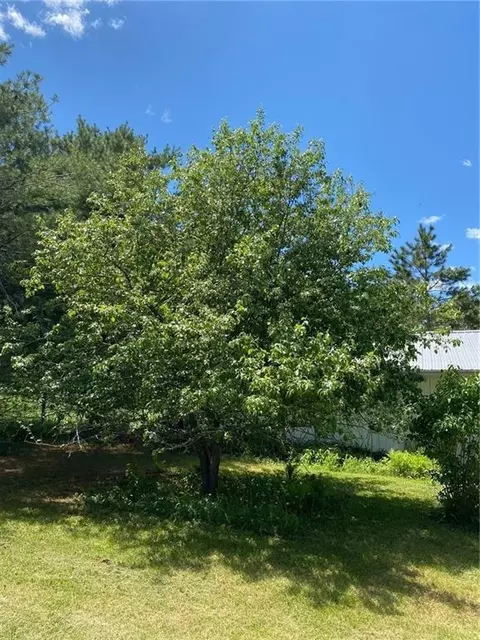 w4761 County Highway F, Springbrook, WI 54875 photo 39