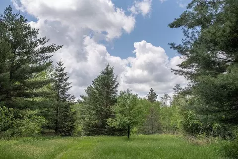 w2511 County Highway M, Springbrook, WI 54875 photo 7