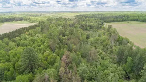 w2511 County Highway M, Springbrook, WI 54875 photo 30