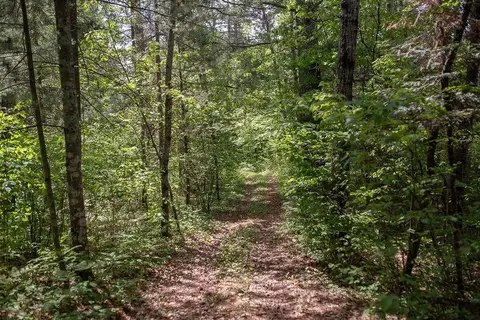 w2511 County Highway M, Springbrook, WI 54875 photo 26
