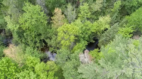 w2511 County Highway M, Springbrook, WI 54875 photo 28
