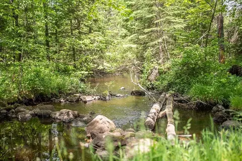 w2511 County Highway M, Springbrook, WI 54875 photo 6