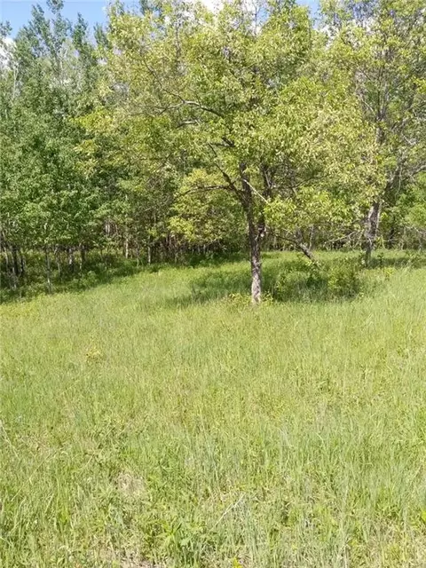 n6676 5th Street, Springbrook, WI 54875 photo 16