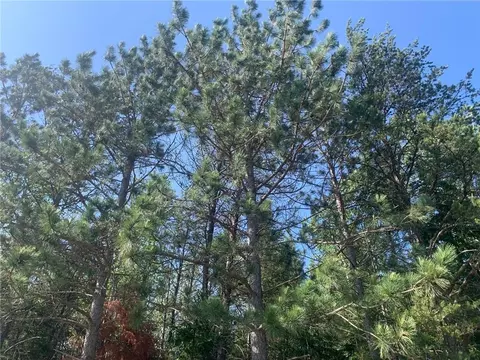 N/a County Highway E, Springbrook, WI 54875