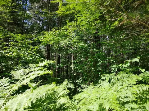 lot15 Hemlock Ct, Cable, WI 54821 photo 6