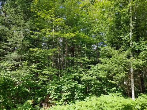 lot15 Hemlock Ct, Cable, WI 54821 photo 5
