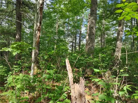 lot15 Hemlock Ct, Cable, WI 54821 photo 2