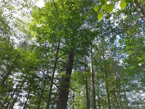 lot15 Hemlock Ct, Cable, WI 54821 photo 4