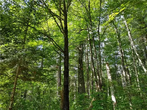 lot15 Hemlock Ct, Cable, WI 54821 photo 7