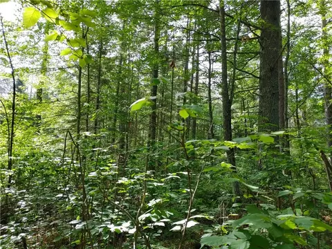 lot15 Hemlock Ct, Cable, WI 54821 photo 3