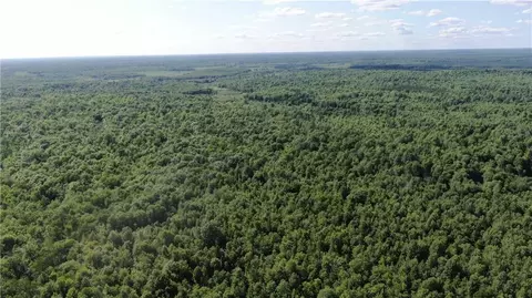 40 Acres County Rd E, Tomahawk, WI 54487 photo 8