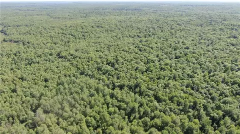 40 Acres County Rd E, Tomahawk, WI 54487 photo 10