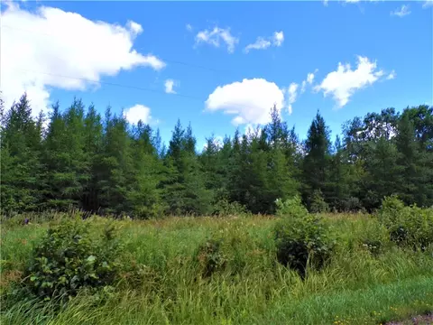 36 97 Acres Sunfish Lake Rd, Ladysmith, WI 54848