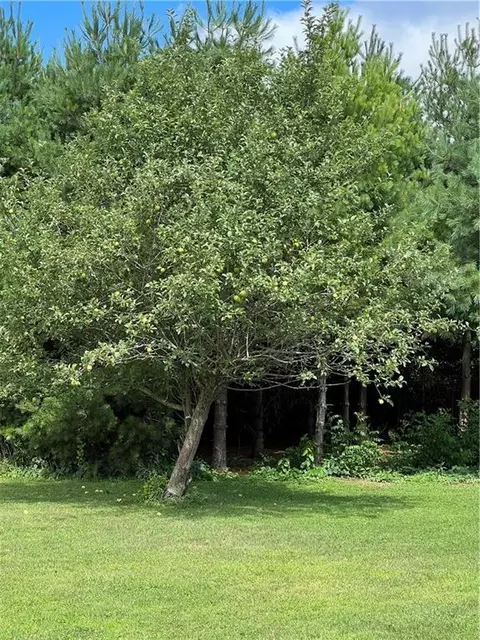 828 30th St, Chetek, WI 54728 photo 7