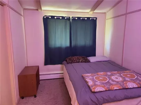 411 Red Pine Ave, Cameron, WI 54822 photo 17