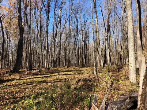 On Nail Creek Road, Ladysmith, WI 54848