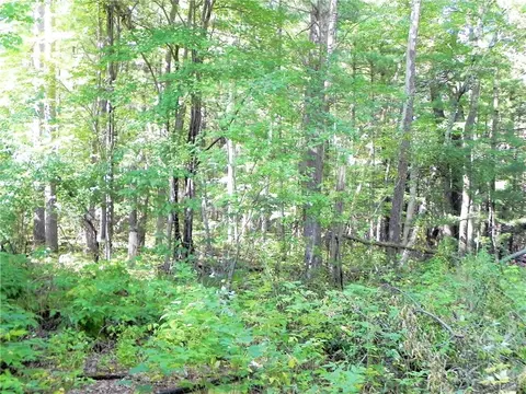 7202 State Rd 70, Webster, WI 54893 photo 12