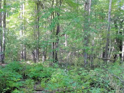 7202 State Rd 70, Webster, WI 54893 photo 13
