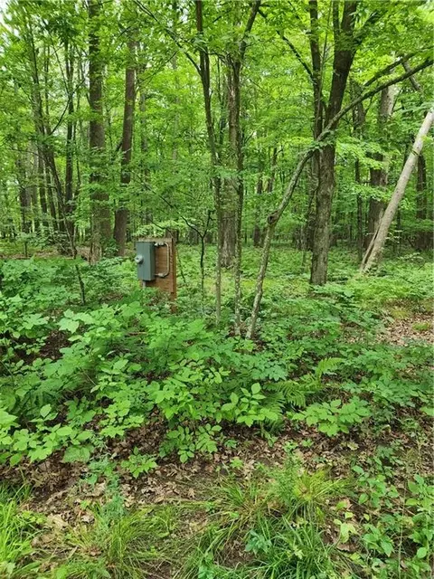 2991 12th St, Barronett, WI 54813 photo 6