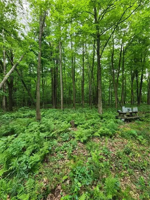 2991 12th St, Barronett, WI 54813 photo 3
