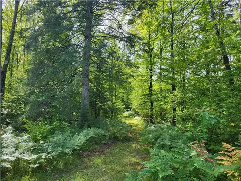 7033 E Fork Rd # W, Winter, WI 54896 photo 16