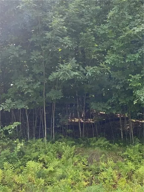 Lot 15 156th Avenue, Stanley, WI 54768