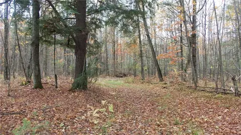 Nnn Flambeau Rd, Ladysmith, WI 54848