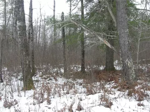 Lots 45, Cable, WI 54821 photo 6