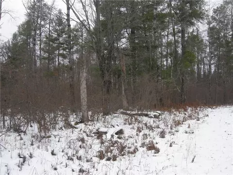 Lots 45, Cable, WI 54821 photo 9