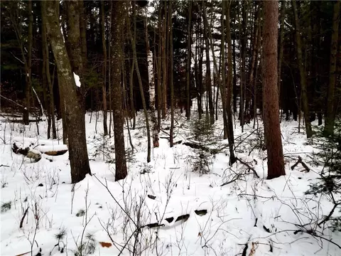 7273 Alder St E, Webster, WI 54893 photo 9