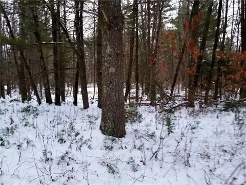 7273 Alder St E, Webster, WI 54893 photo 14