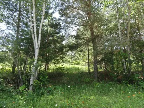 Tbd Hwy 63 Highway, Cumberland, WI 54829