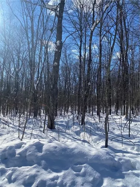 Lots 49 & 50 Hardwood Court, Cable, WI 54821